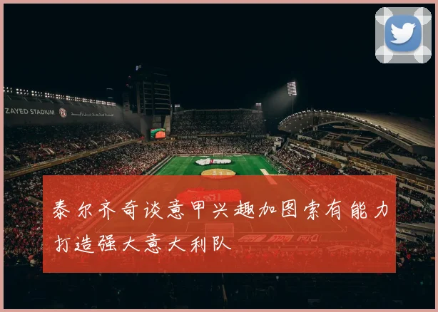 泰尔齐奇谈意甲兴趣加图索有能力打造强大意大利队