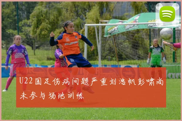 U22国足伤病问题严重刘浩帆彭啸尚未参与场地训练