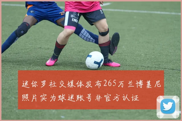 迷你罗社交媒体发布265万兰博基尼照片实为球迷账号非官方认证