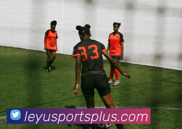 乐鱼体育平台生态图