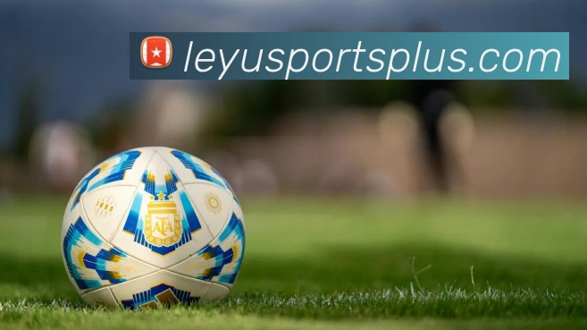 乐鱼体育全站App